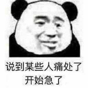 搞笑带字的微信斗图怼人熊猫头表情包