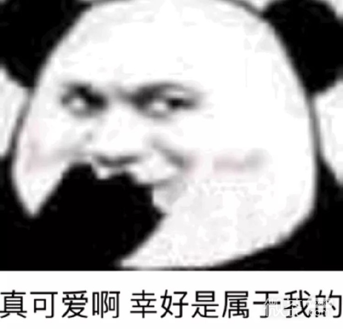 微信最新的沙雕熊猫头斗图表情包