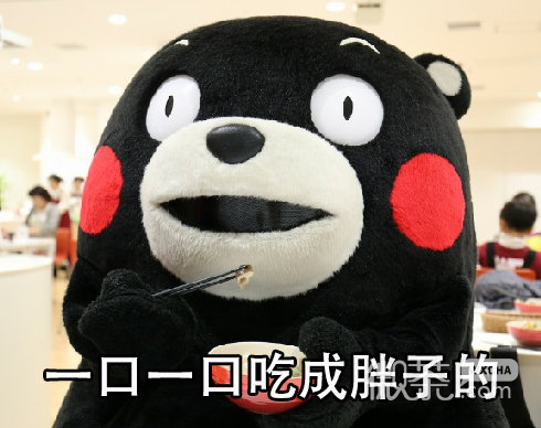 熊本熊新年变胖原因系列微信表情包