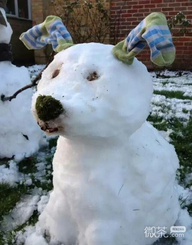 搞笑个性的微信北方雪人表情包