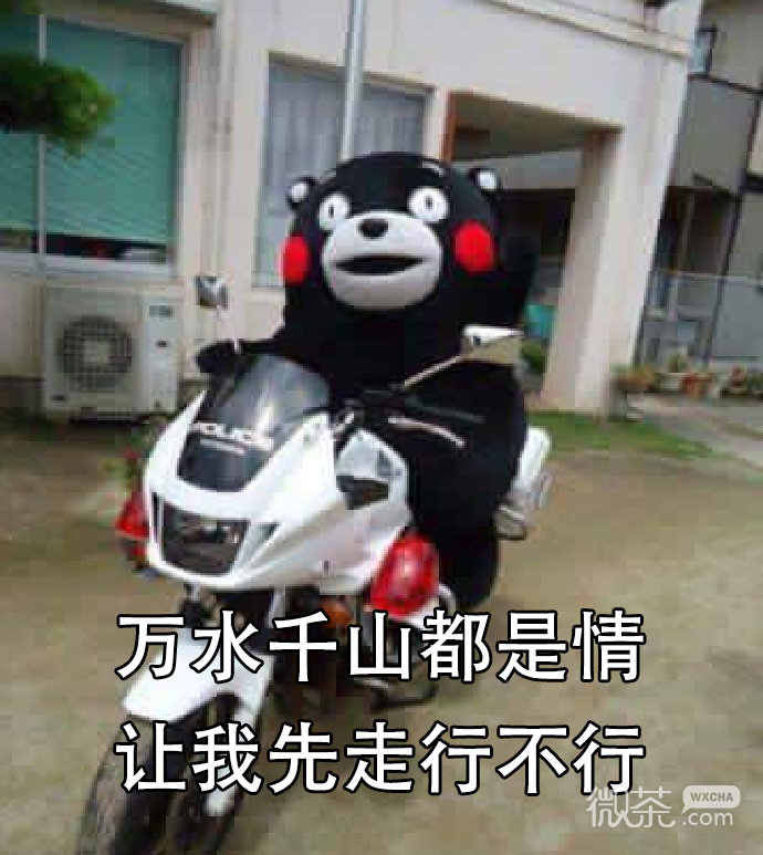 关于春节堵车的微信熊本熊带字表情包
