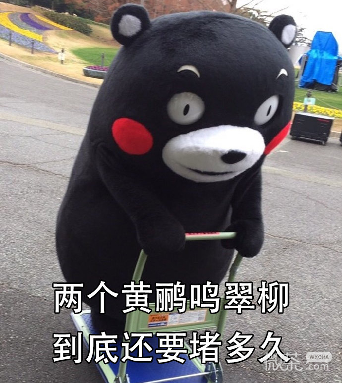 关于春节堵车的微信熊本熊带字表情包
