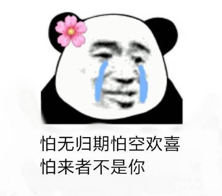 撩妹撩汉用的微信恶搞熊猫头带字表情包