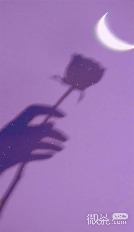 唯美紫色主题的微信女生壁纸图片