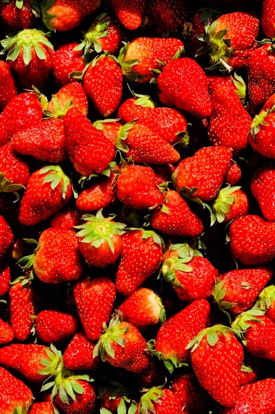 鲜红诱人的草莓微信唯美摄影图片