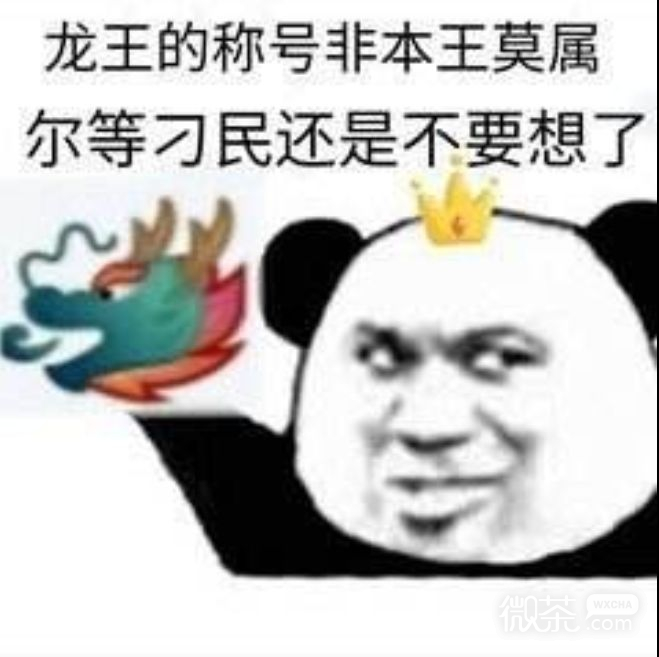 龙王熊猫头微信恶搞表情包