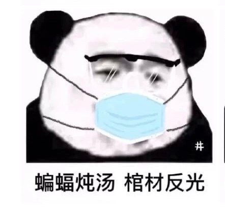 戴口罩熊猫头骂脏话微信表情包合集