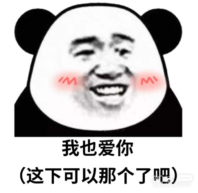 猥琐搞笑的微信带字熊猫头表情包