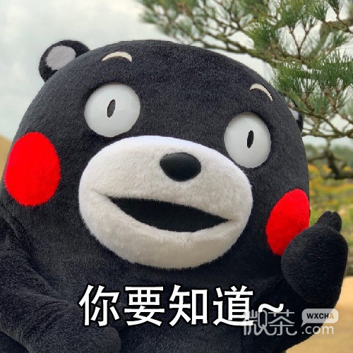 女孩子熊本熊系列微信带字表情包