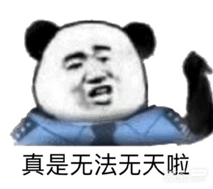 经典搞笑的微信熊猫头带字表情包
