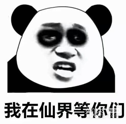 搞笑带字的最新熊猫头修仙表情包