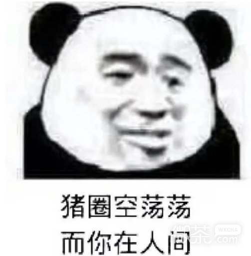 沙雕到爆的微信带字熊猫头表情包