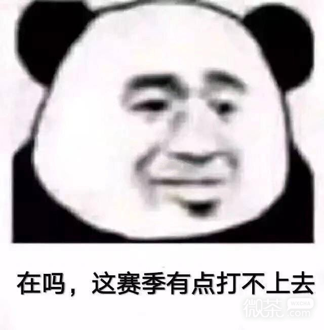 搞笑逗比的微信熊猫头斗图表情包