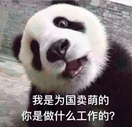 国宝大熊猫微信表情包