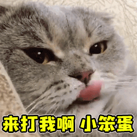超萌的可爱猫咪动态微信表情包