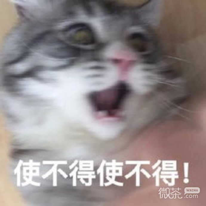 可爱小猫猫微信表情包