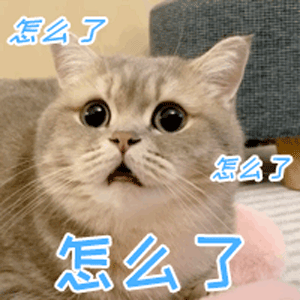 可爱的猫猫动态微信表情包