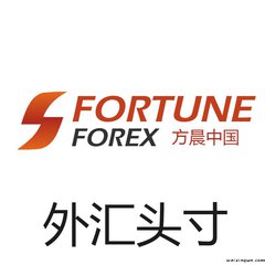 外汇平台交流①群