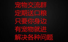 宠物交流群1定期送口粮
