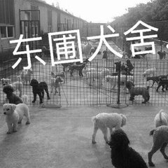 宠物养殖批发