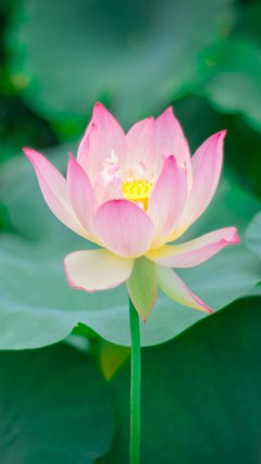 进群+++群主