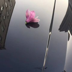 个股期权交流