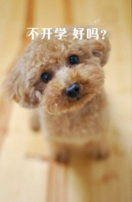 不想开学狗狗文字图片 开什么？我听不见