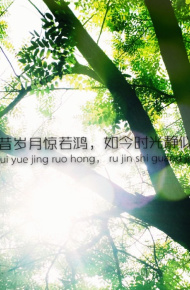 清新图片微信lomo阳光带字治愈系美图美文