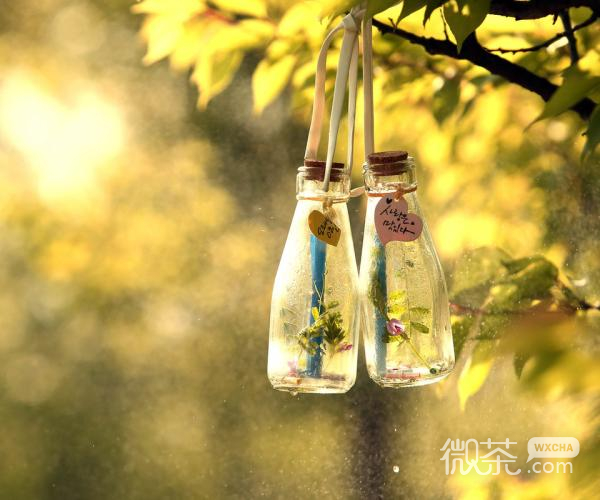 一个人的孤单 不算孤单