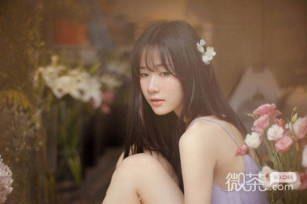 微暖半夏小清新图片