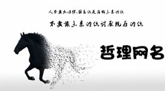 哲理