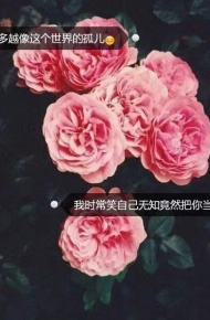 微信带字伤感个性空间素材微信图片