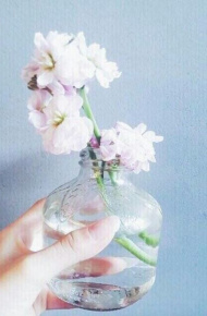 花可解语 小清新唯美微信图片