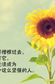 lomo风格唯美意境文字图片微信背景图片