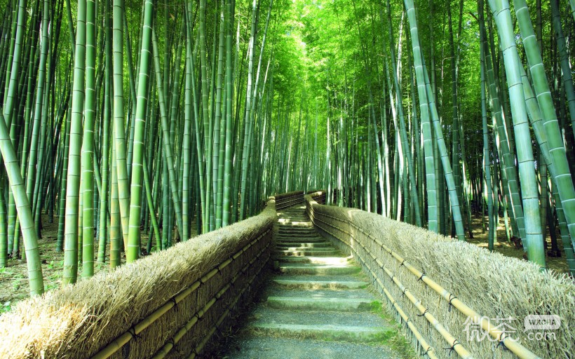 唯美小路风光微信高清图片 乡间小道