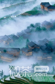 梯田风光微信高清图片 世外桃源