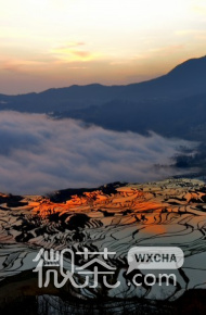 云南元阳梯田风景微信图片 哈尼梯田