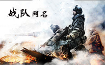 战队