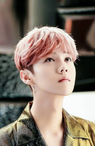 lover鹿晗
