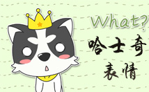 哈士奇