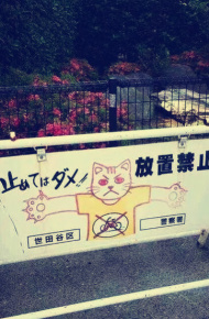 微信小清新朋友圈配图