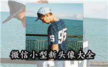 小型新
