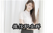职业
