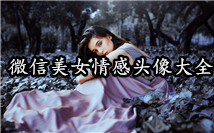 美女情感