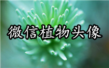 植物