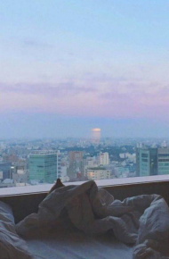 微信粉嫩少女心风景静物聊天背景