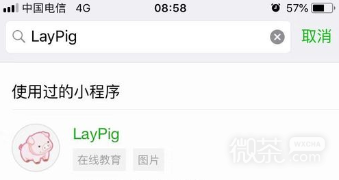 综合日语单词的小程序LayPig