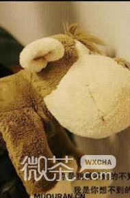 个性情感签名系列微信朋友圈配图合集下载