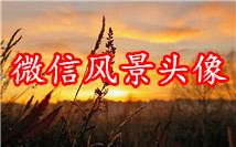 风景