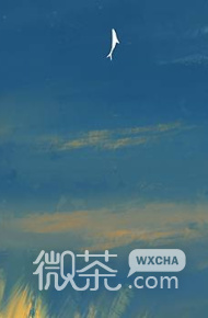 唯美好看小清新微信朋友圈配图